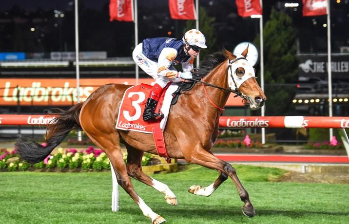 Gai Waterhouse and her stable star, All-Star Mile aspirant Alligator Blood