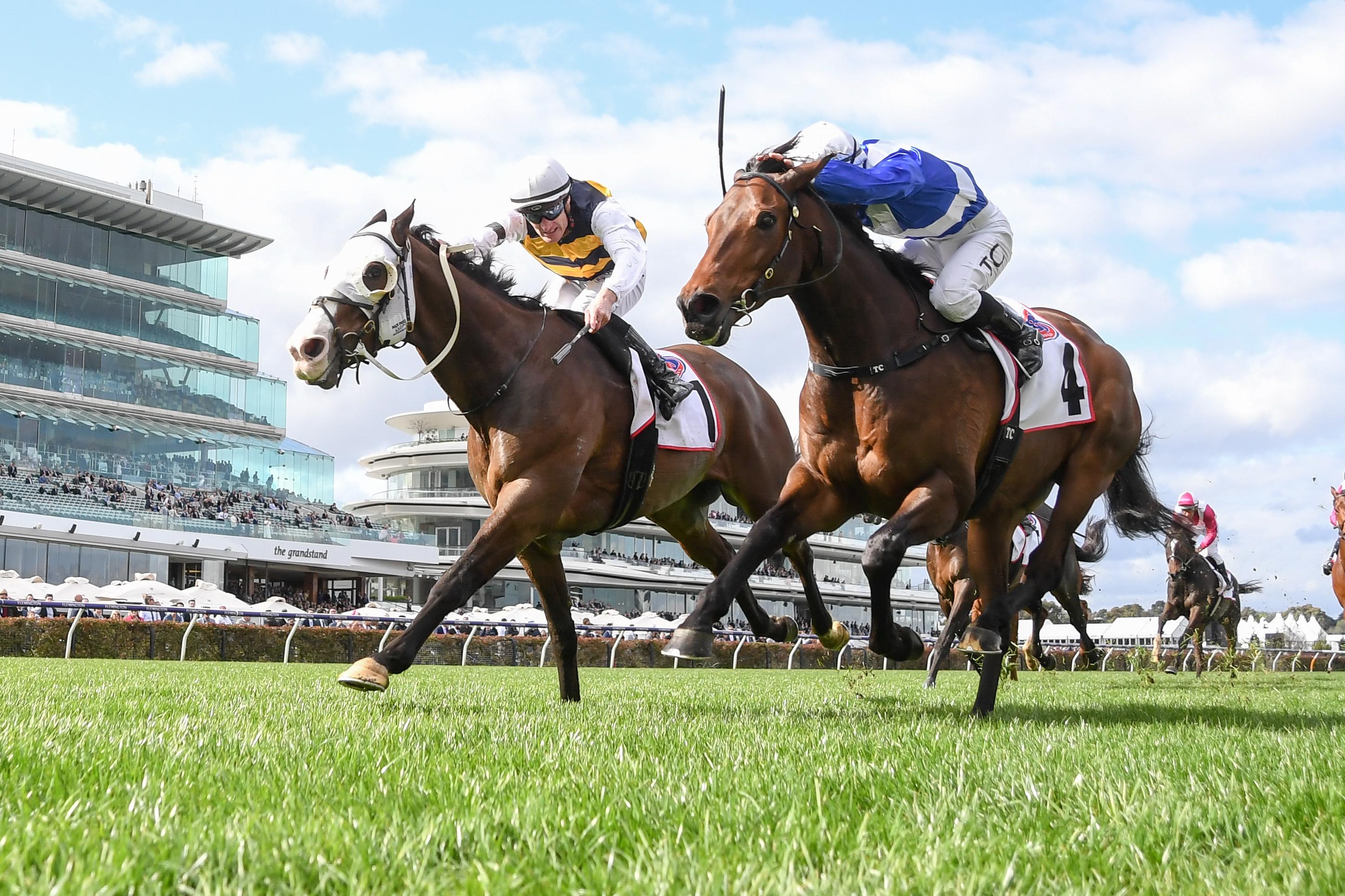 Rivalry brewing: I'm Thunderstruck and Alligator Blood lock horns again