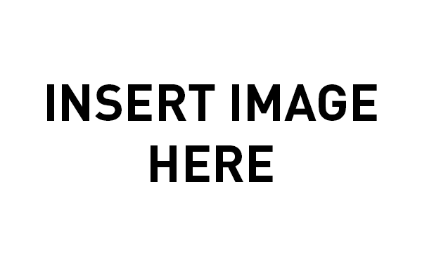 Amelia's Jewel (Image: Racing Photos)