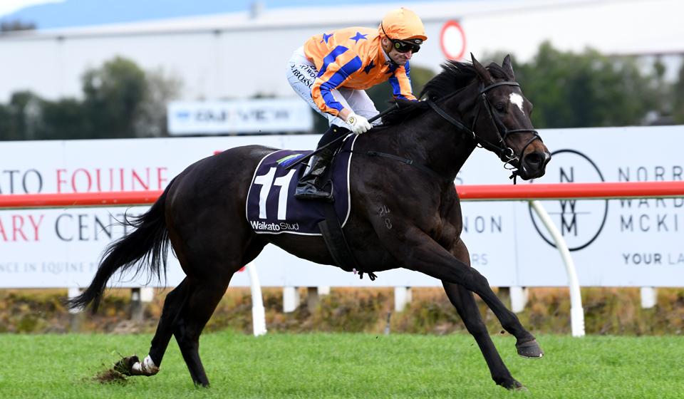 Imperatriz is a four time Group 1 winner in New Zealand