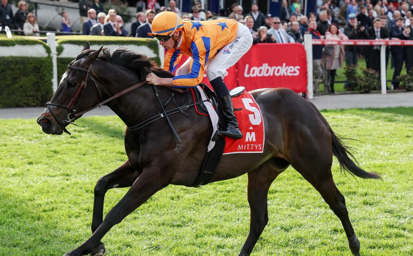 Imperatriz and Amelia's Jewel could be the two best mares in Australia