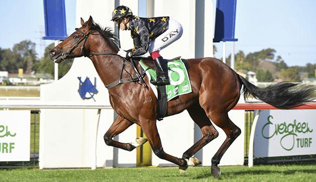 King Colorado (Image: Bradley Photos)