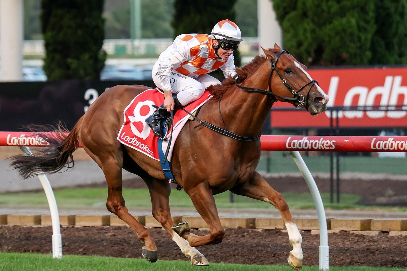 Mutinous will be hard to beat over 888m this Friday at The Valley