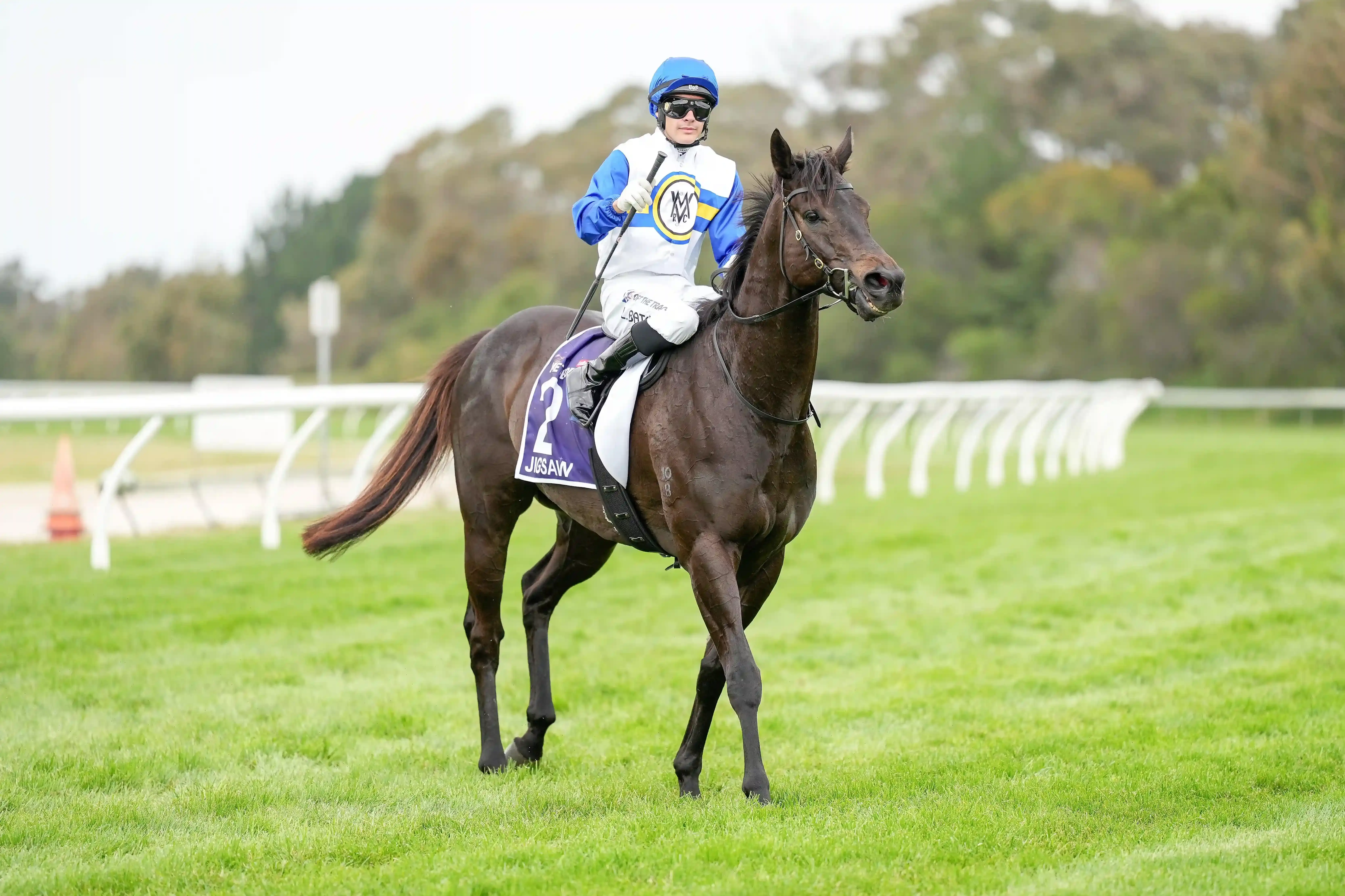 Logan Bates returns on Jigsaw wearing the MVRC Meteorite silks
