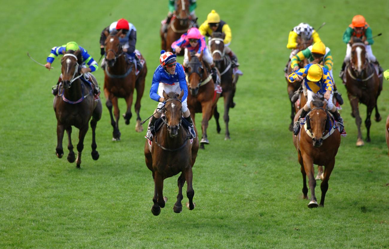Makybe Diva wins the 2005 W.S. Cox Plate