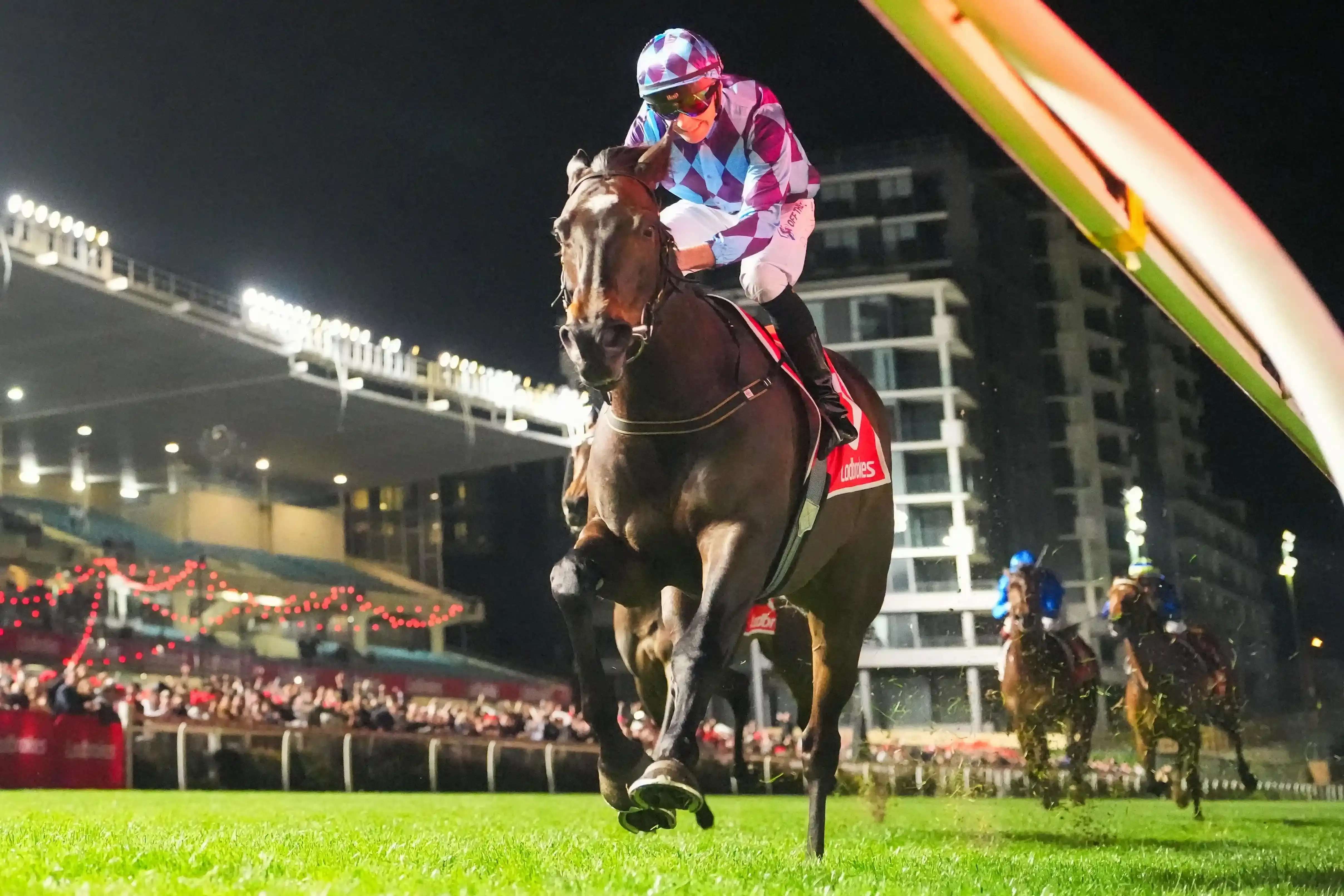 Pride of Jenni went back-to-back in the 2025 Ladbrokes Feehan Stakes