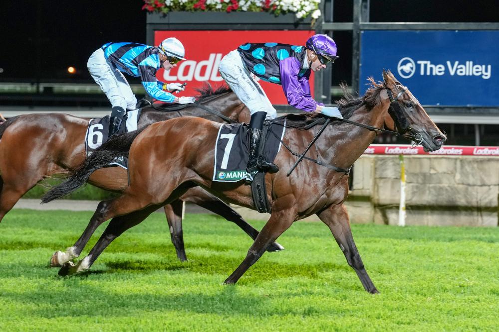 Bright Legend wins the Listed Manhari Torney Night Cup