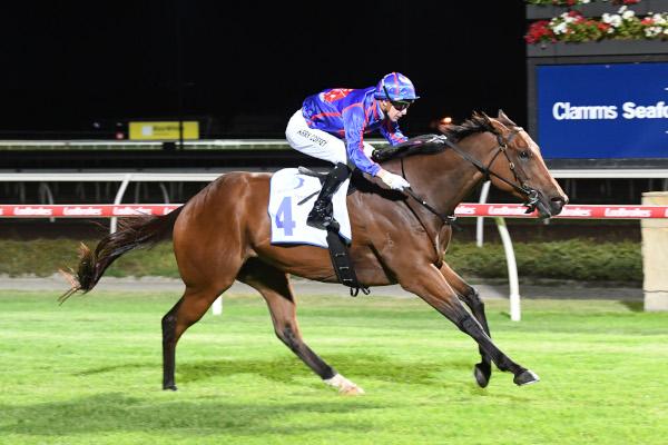 Hedged wins the 2026 G2 Clamms Seafood Australia Stakes