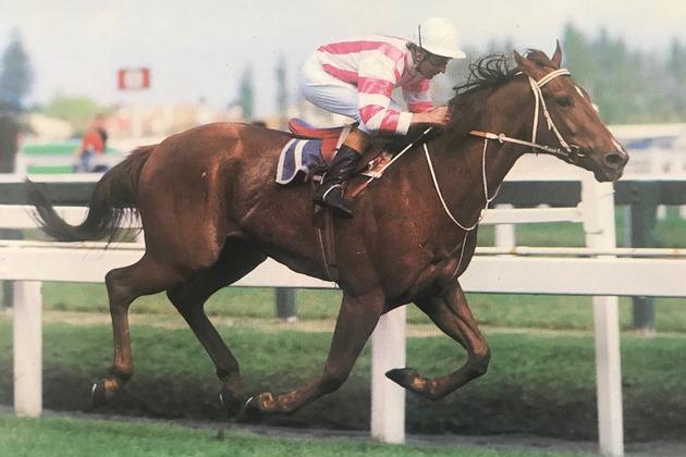 The formidable Valley specialist Manikato won the William Reid Stakes five years in a row from 1979 to 1983.