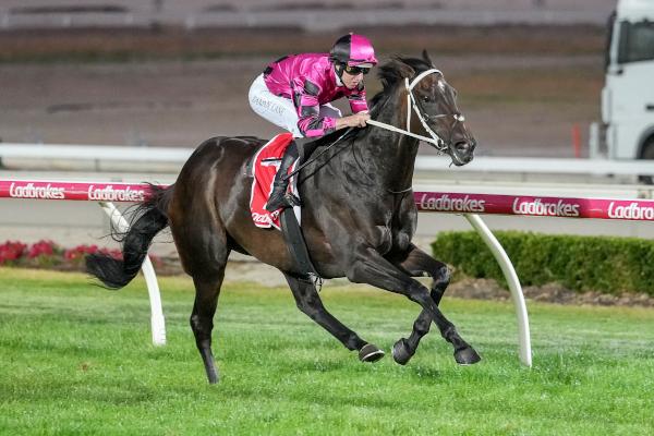 Sharing Moments won Heat 3 of the Ladbrokes 55 Second Challenge - Series 2