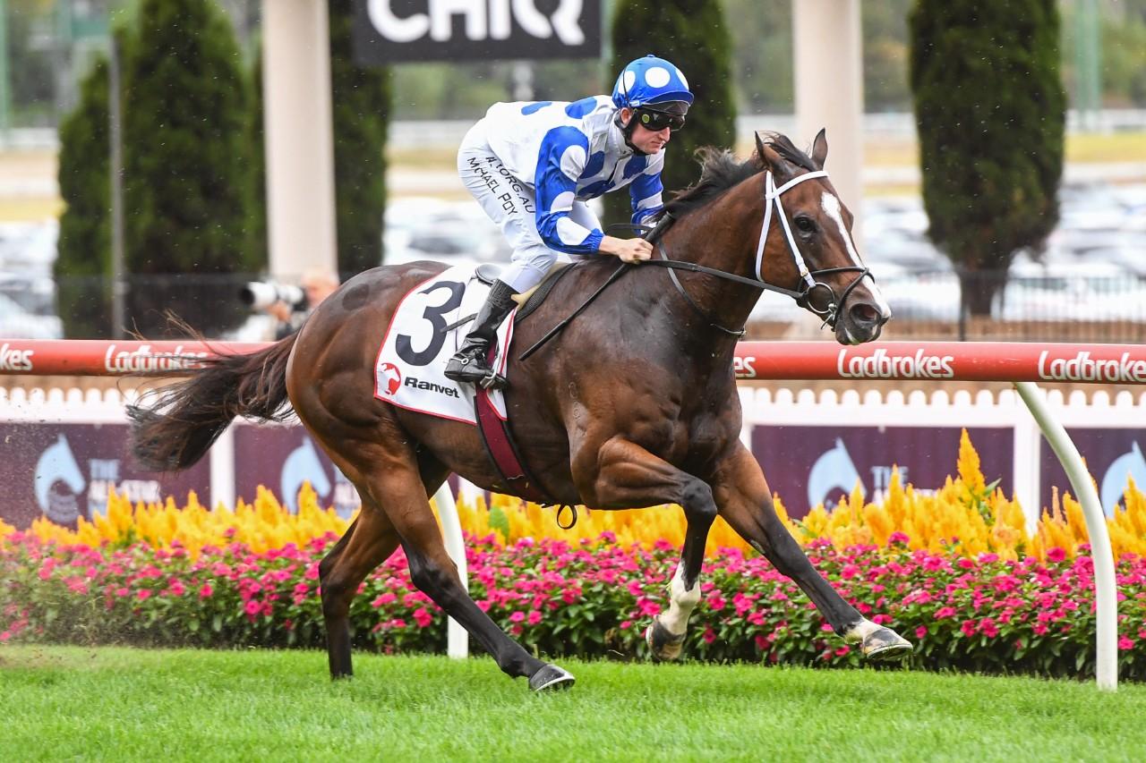 Ancestry is unbeaten at The Valley