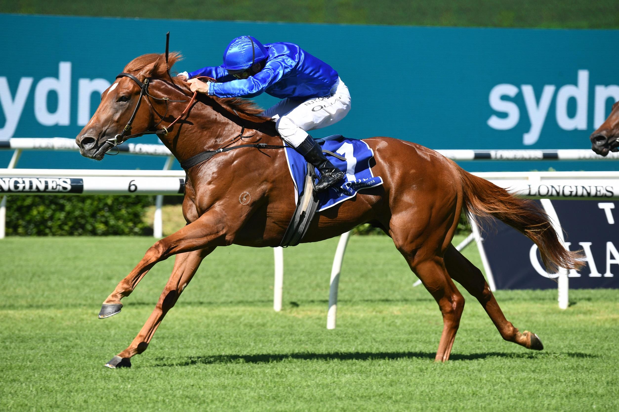 Paulele is the current Ladbrokes Manikato Stakes favourite