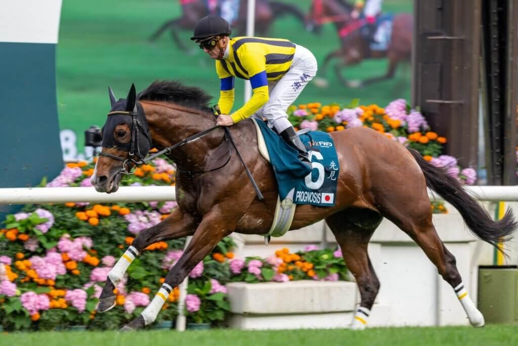 Prognosis will be looking to become the second Japanese horse to win the Ladbrokes Cox Plate