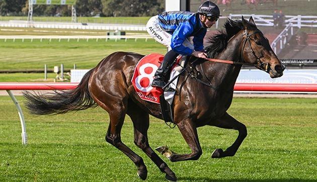 Asfoora (Image: Racing Photos)