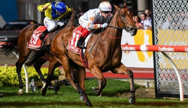 Loving Gaby winning the Manikato Stakes in 2019 (Image: Racing Photos)
