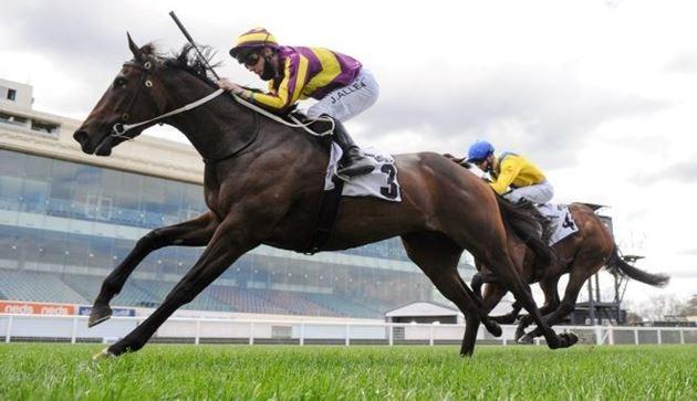 Swats That (Image: Racing Photos)