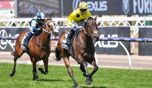 Without A Fight winning the Melbourne Cup (Image: Racing Photos)