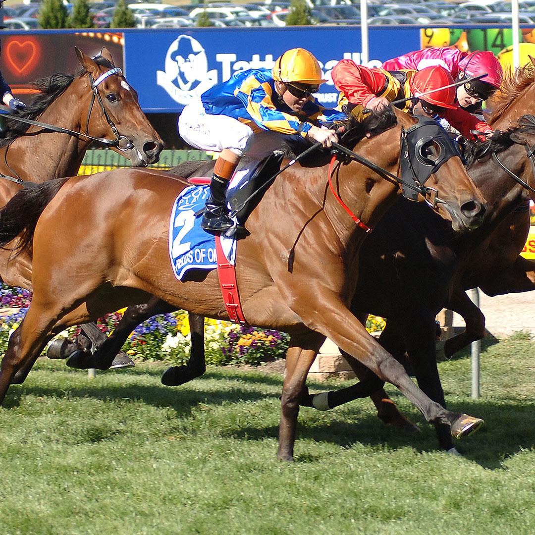 fields-of-omagh-2013