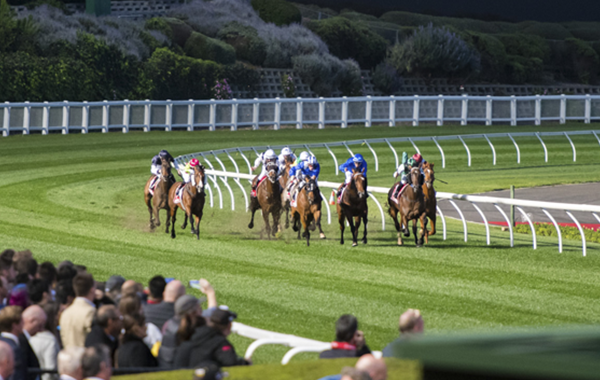 live-track-information-thumb-600x380