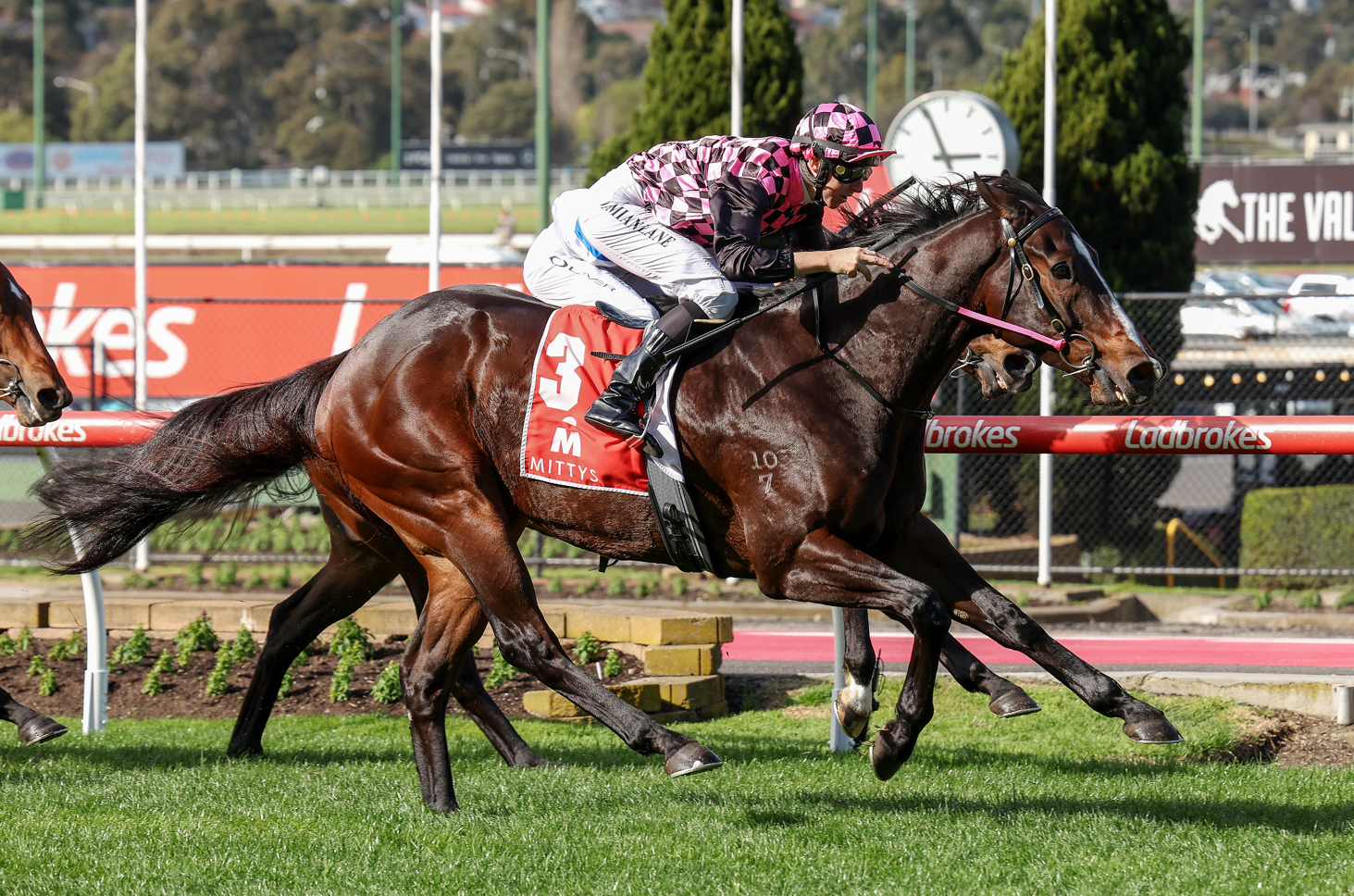 A remarkable return - Rothfire