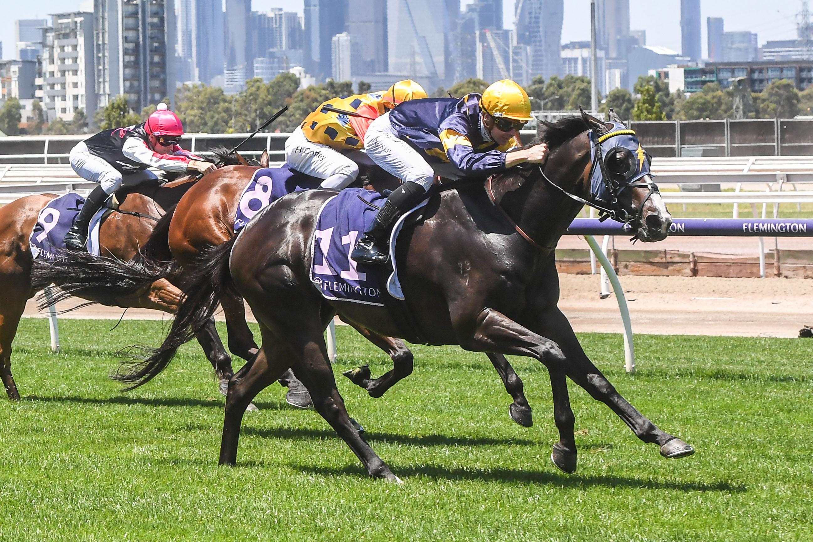 Snapper won the Group 3 Standish Handicap last start at Flemington