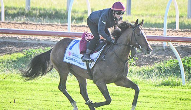 Victoria Road (Image: Racing Photos)