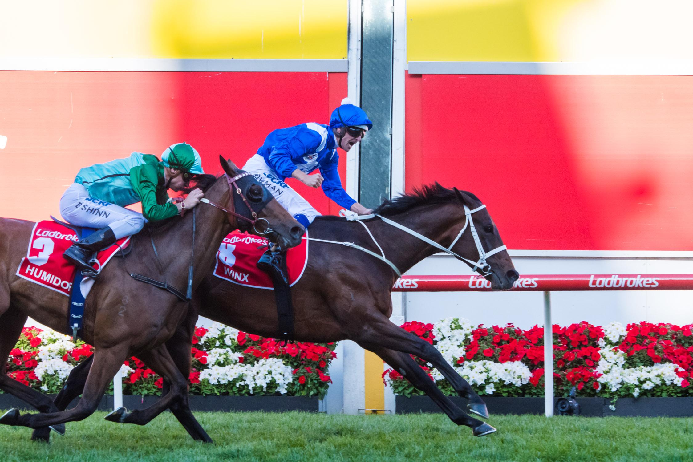 Winx beats Humidor in a thrilling 2017 Ladbrokes Cox Plate 