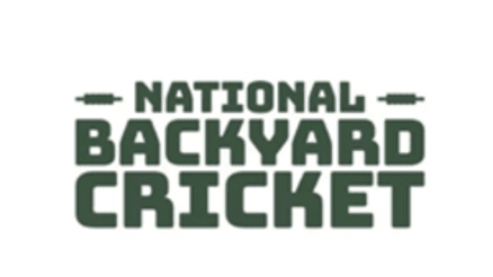 National Backyard Cricket logo resized