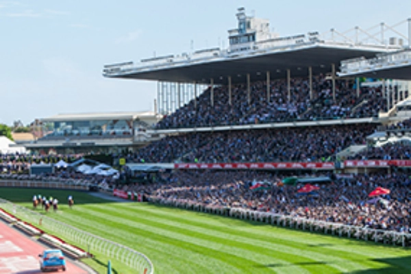 Reserved Grandstand Seating