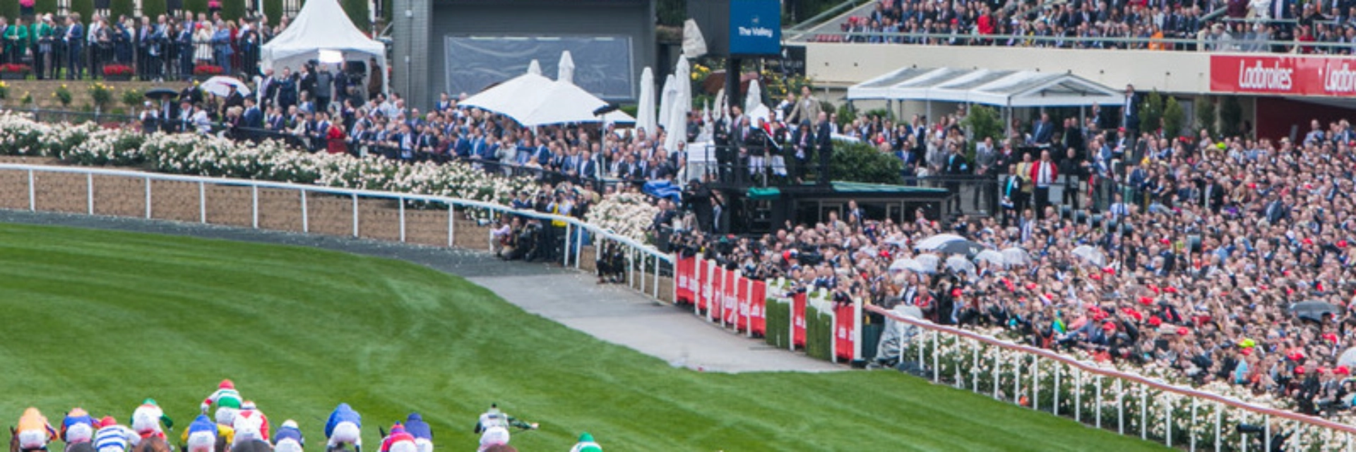 faq-page_mosaic_800x500_800x500