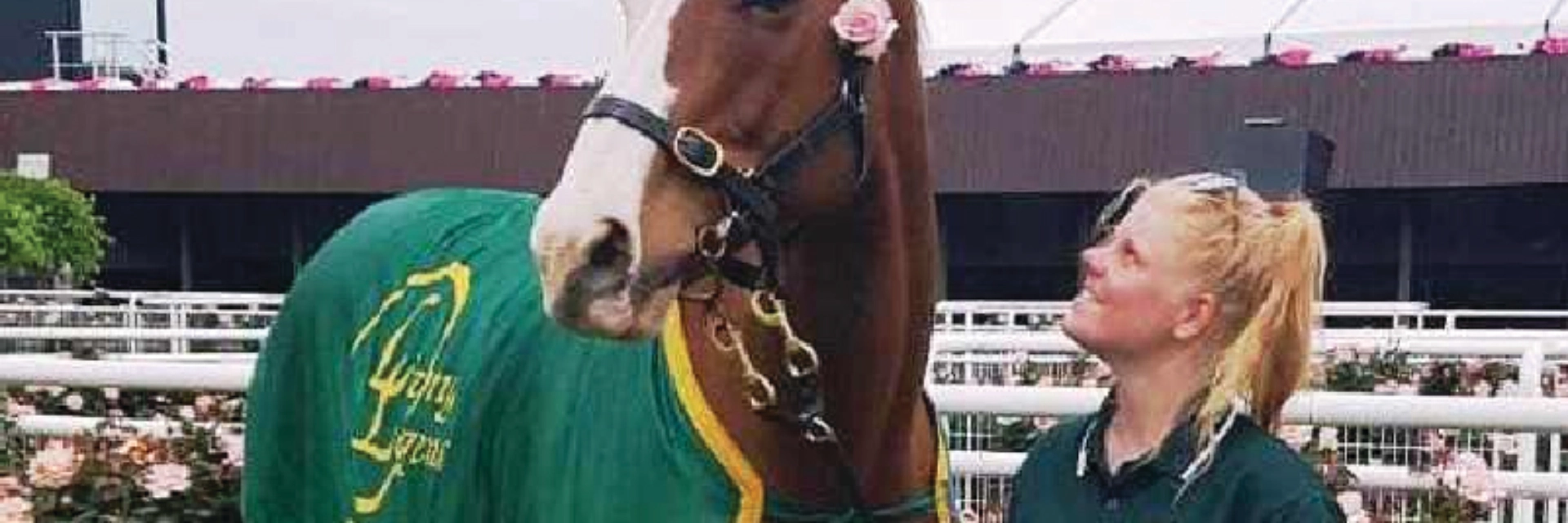 800-x-500-apache-cat-100