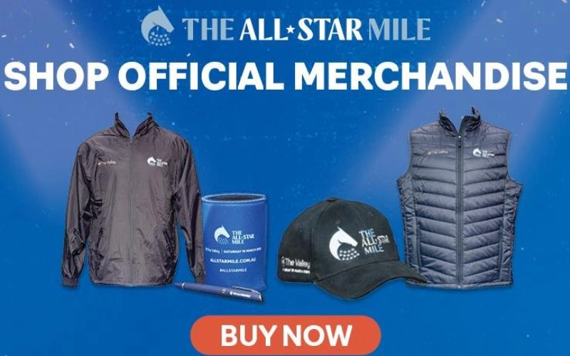 rv1129-asm23-merch-800x500-v2