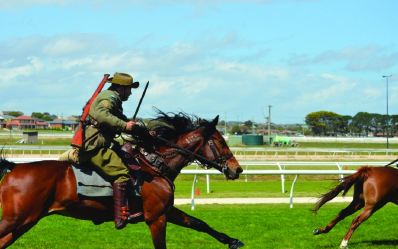 800-x-500-light-horse-100