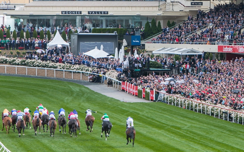 faq-page_mosaic_800x500_800x500