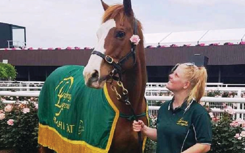 800-x-500-apache-cat-100