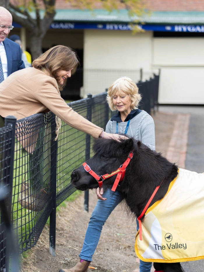 crosswordmosaic1700x933