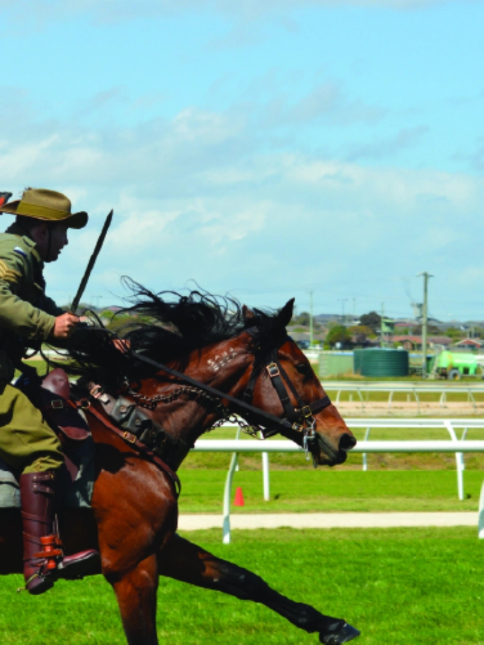 800-x-500-light-horse-100